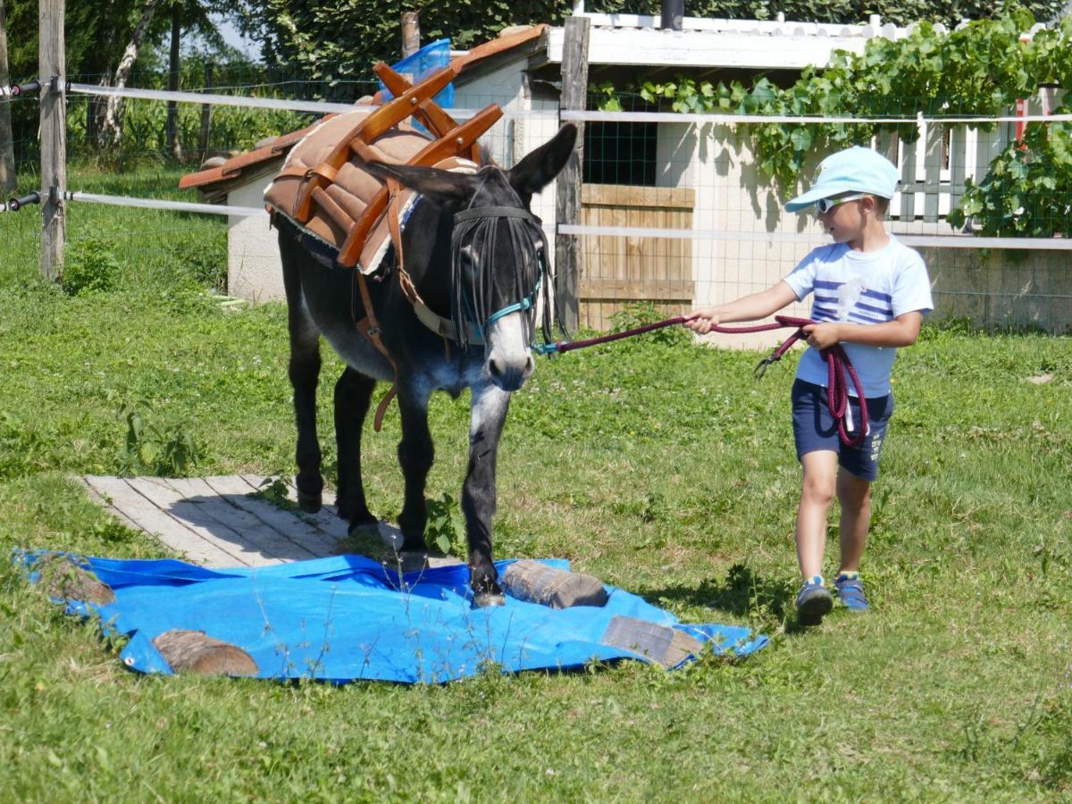 Gite En Comminges Franquevielle Kültér fotó